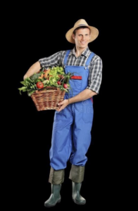 Maybe leave the basket at home so you can carry your winnings, but yes.